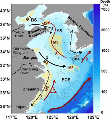 The Sources and Burial of Marine Organic Carbon in the Eastern China Marginal Seas